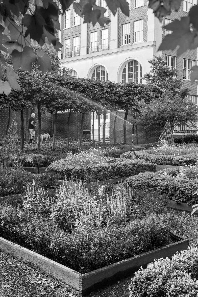 18th Century Garden, Along Walnut Street, Philadelphia