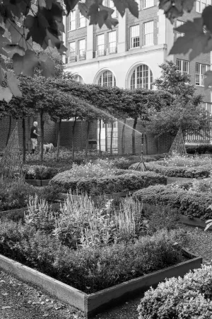 18th Century Garden, Along Walnut Street, Philadelphia