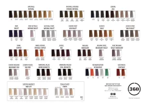 360 Professional Haircolor 100ml
