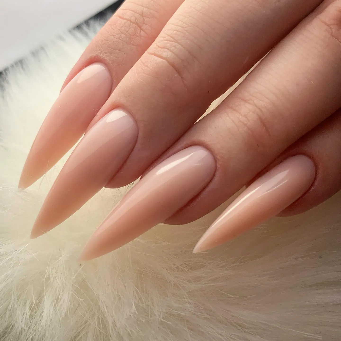 Akzentz Pro-Formance Hard Gel - Trinity Shades