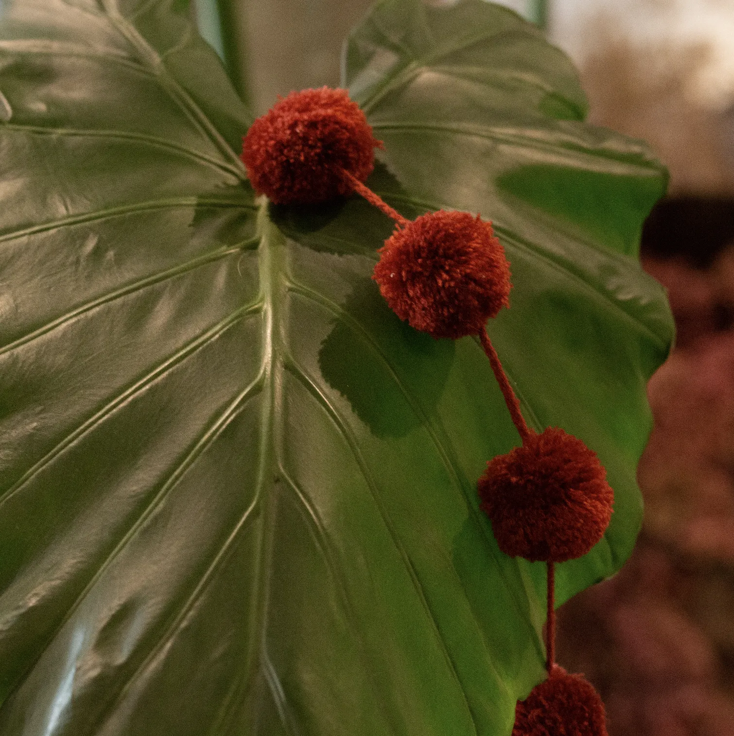 Amaranth