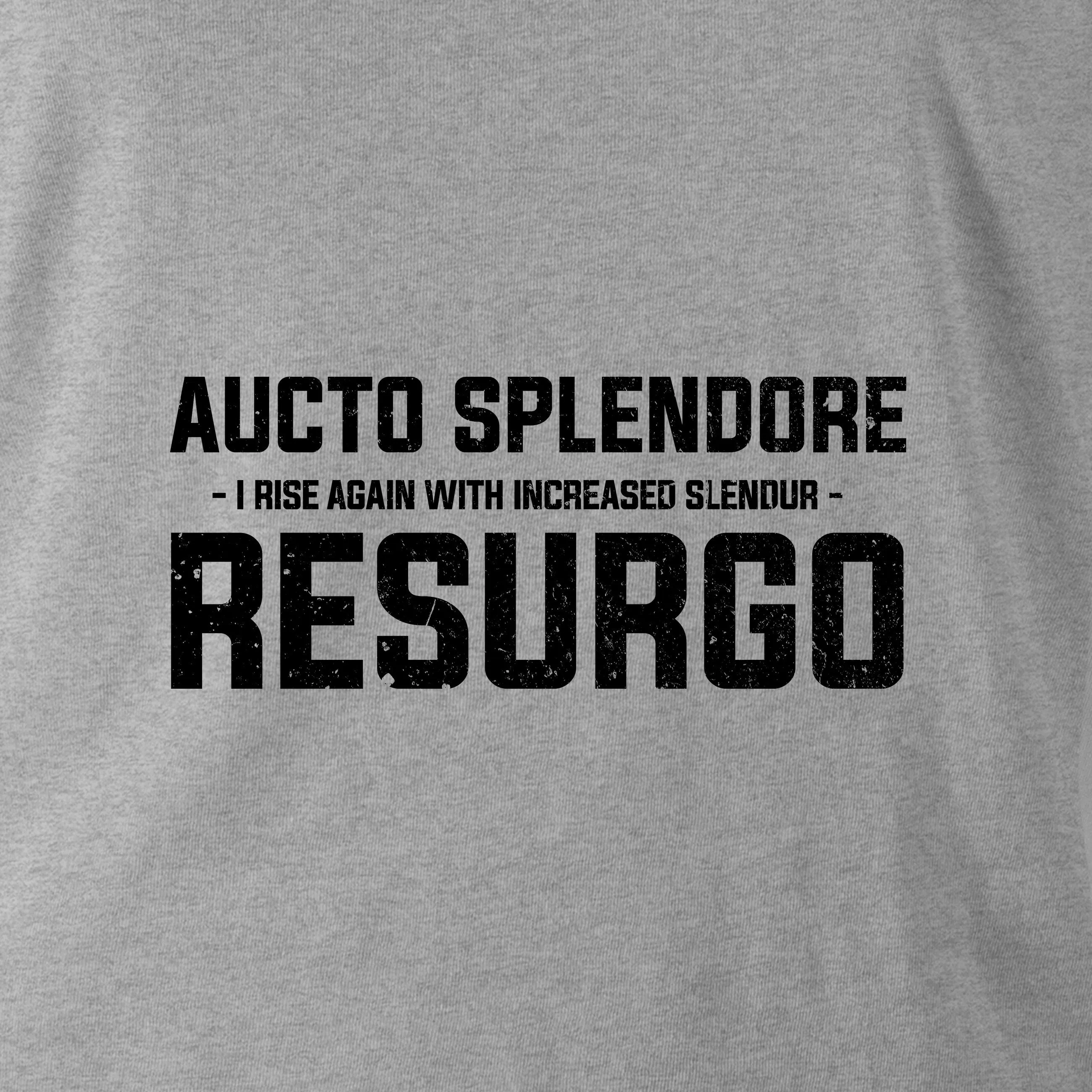 AUCTO SPLENDORE RESURGO (THE LIGHT INFANTRY)