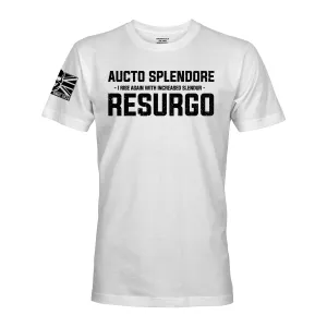 AUCTO SPLENDORE RESURGO (THE LIGHT INFANTRY)