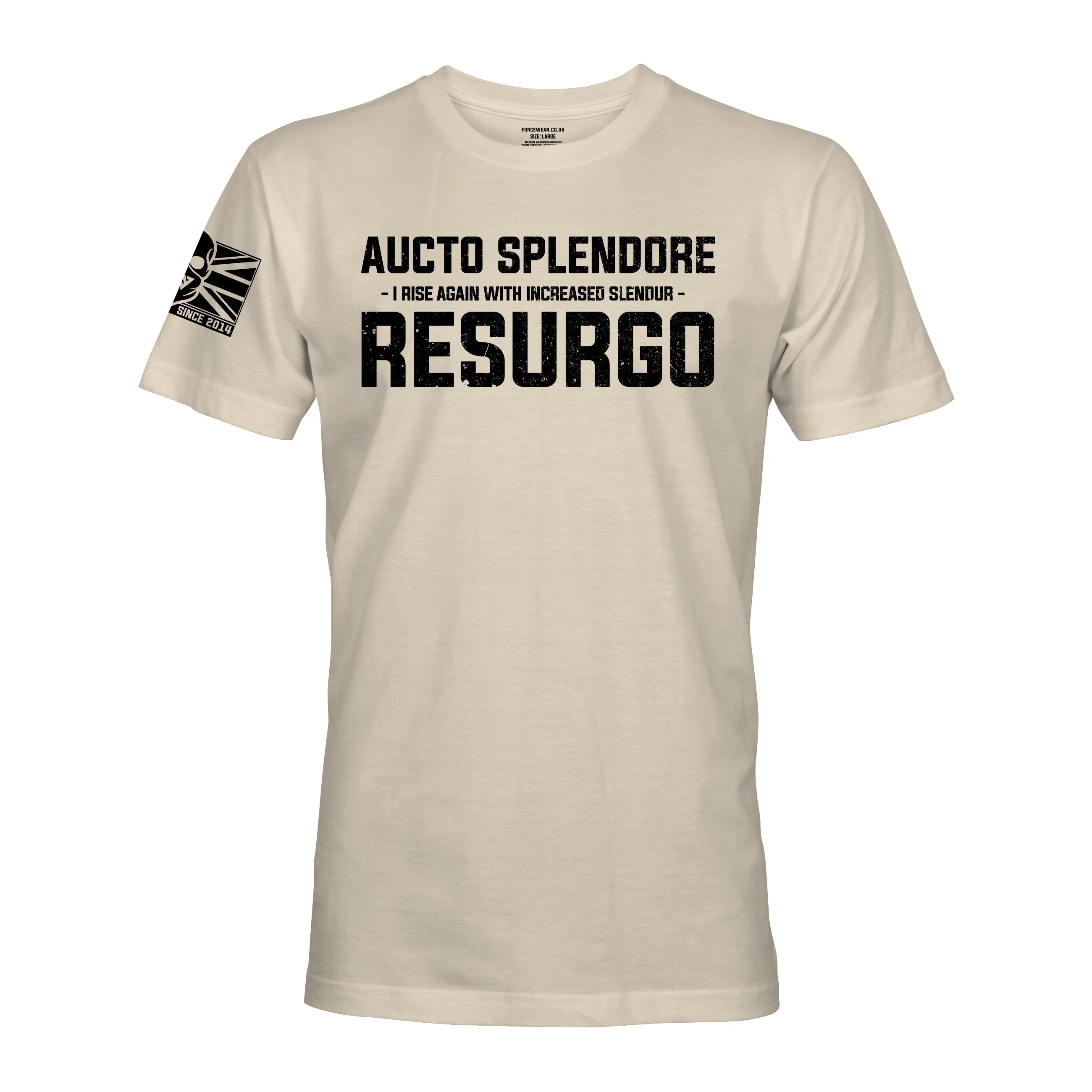 AUCTO SPLENDORE RESURGO (THE LIGHT INFANTRY)