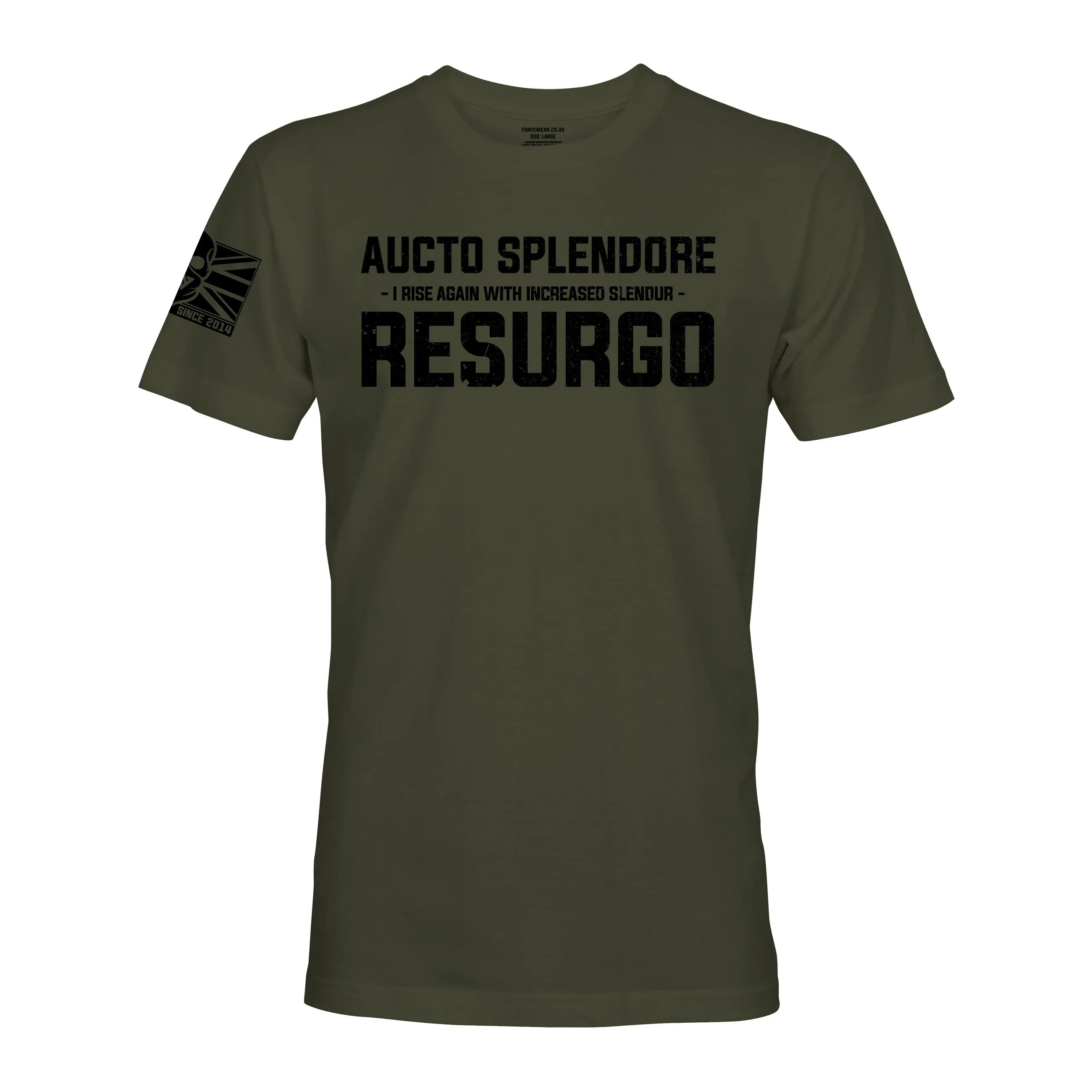 AUCTO SPLENDORE RESURGO (THE LIGHT INFANTRY)