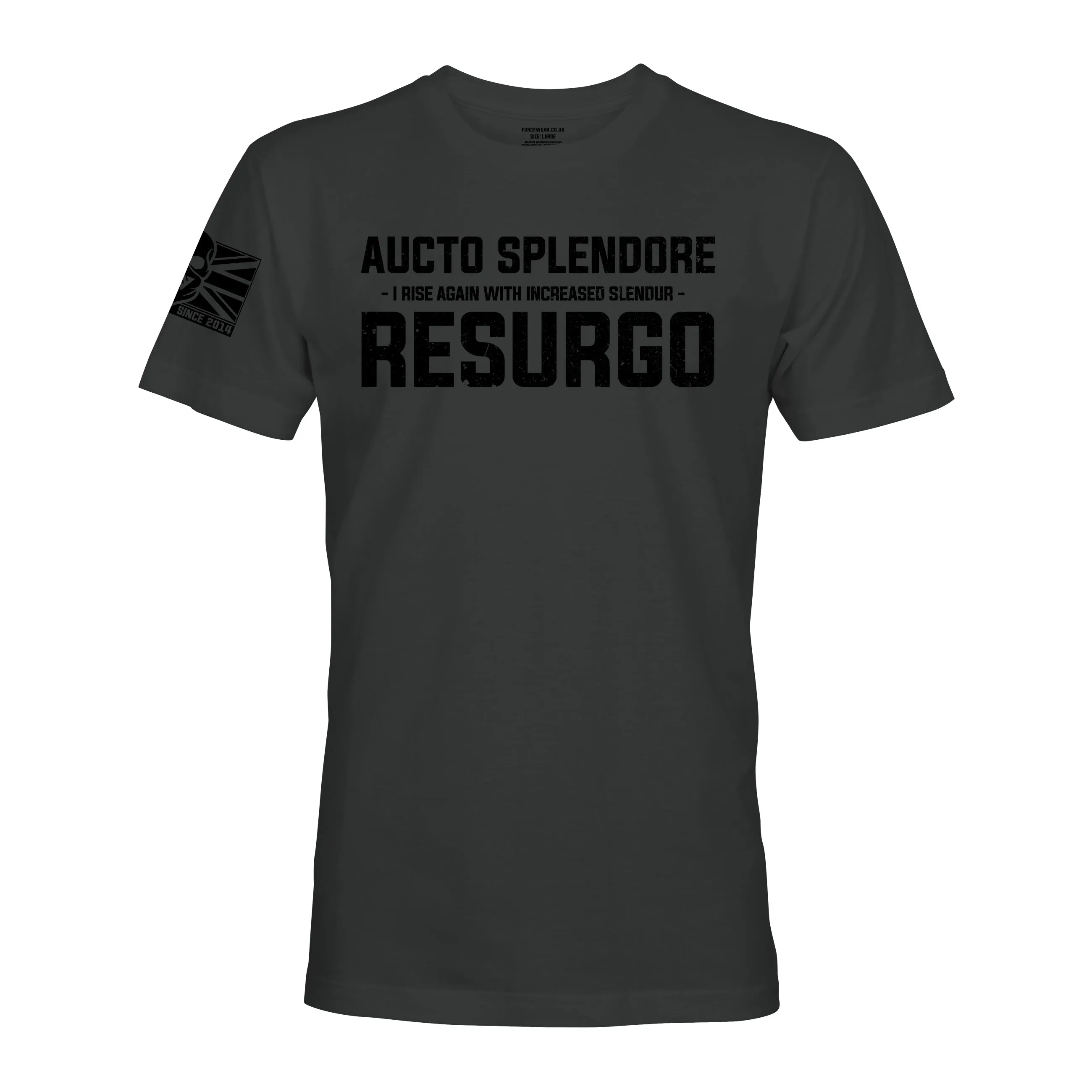 AUCTO SPLENDORE RESURGO (THE LIGHT INFANTRY)