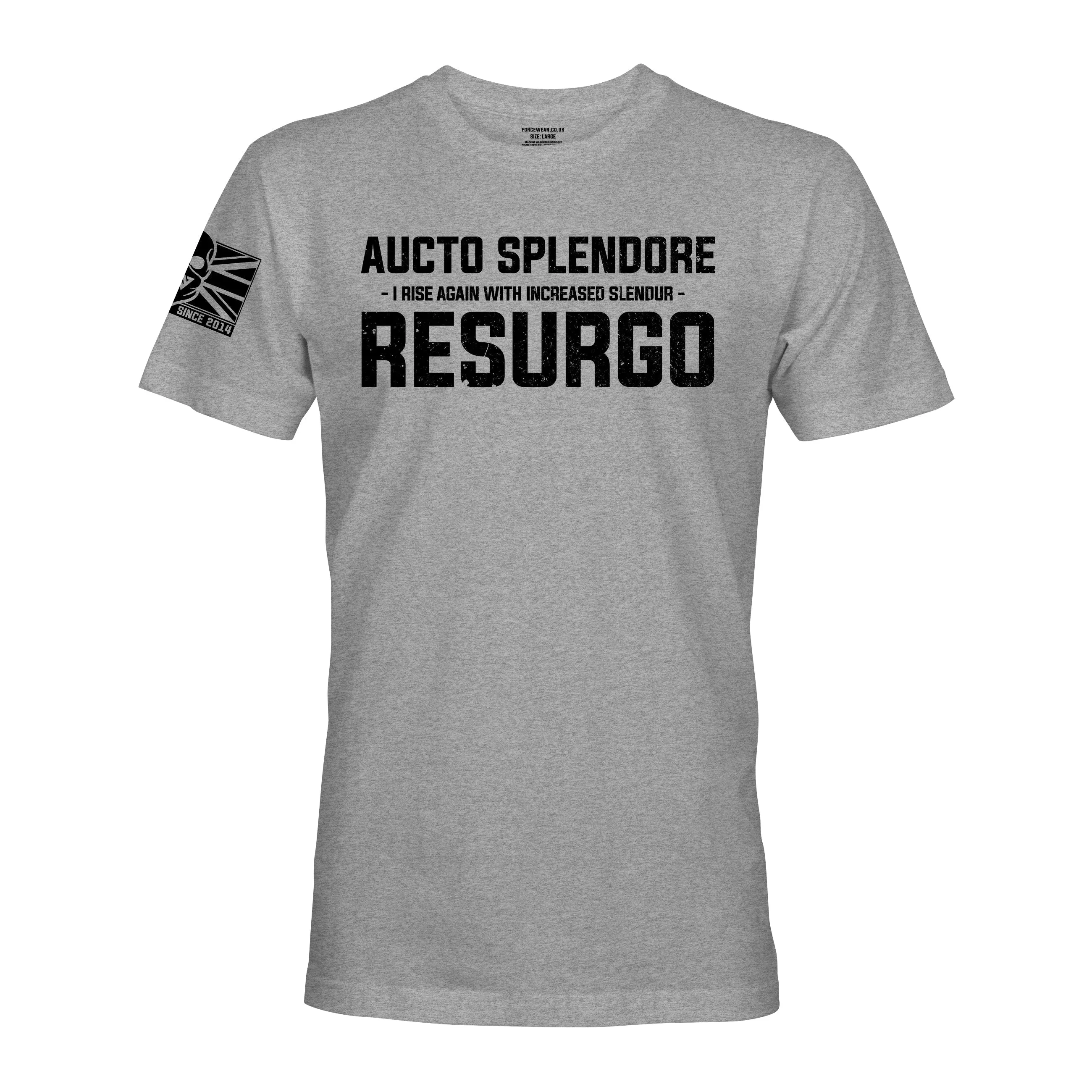 AUCTO SPLENDORE RESURGO (THE LIGHT INFANTRY)