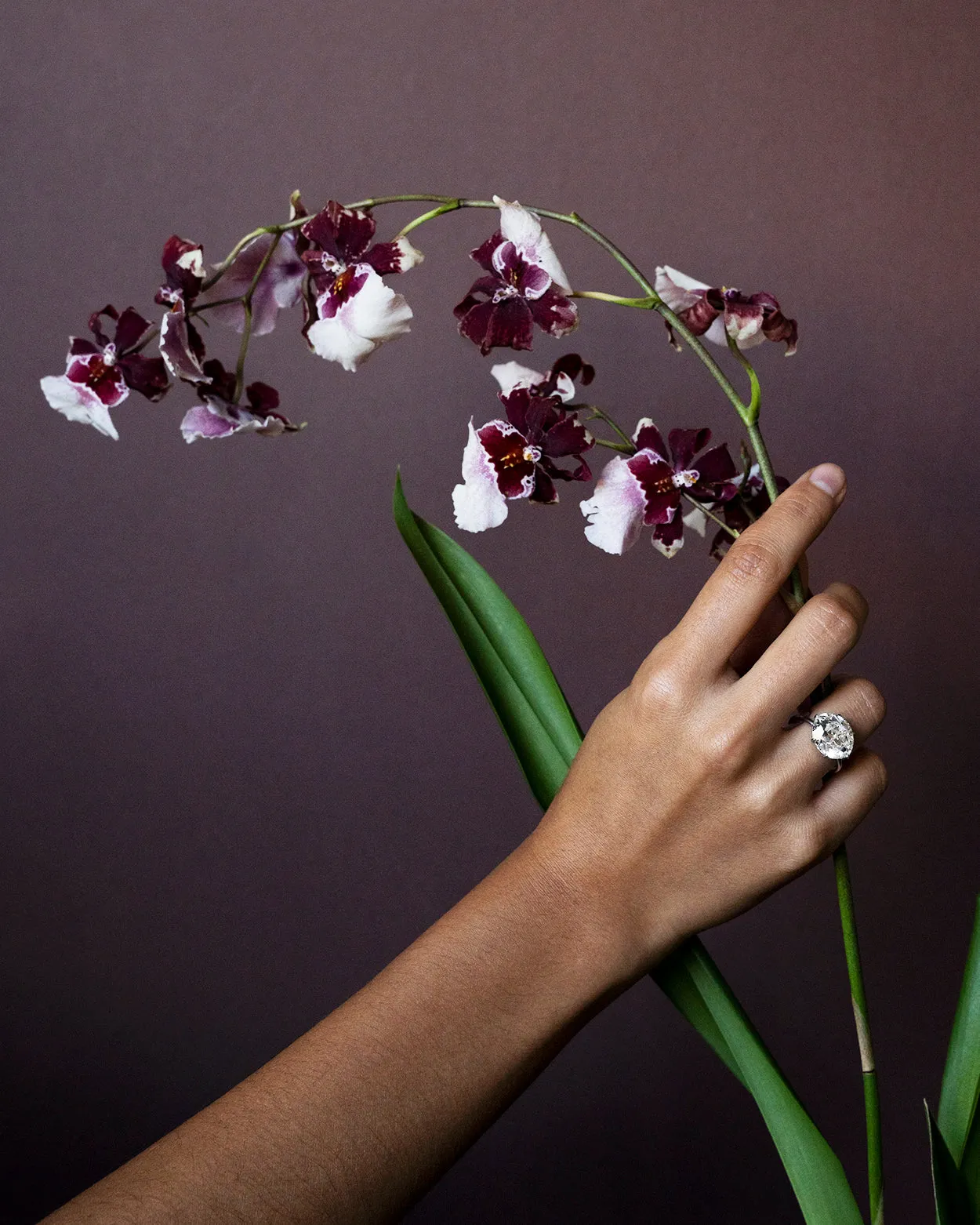 Bell & Bird Antique Moval Travel Mount Ring