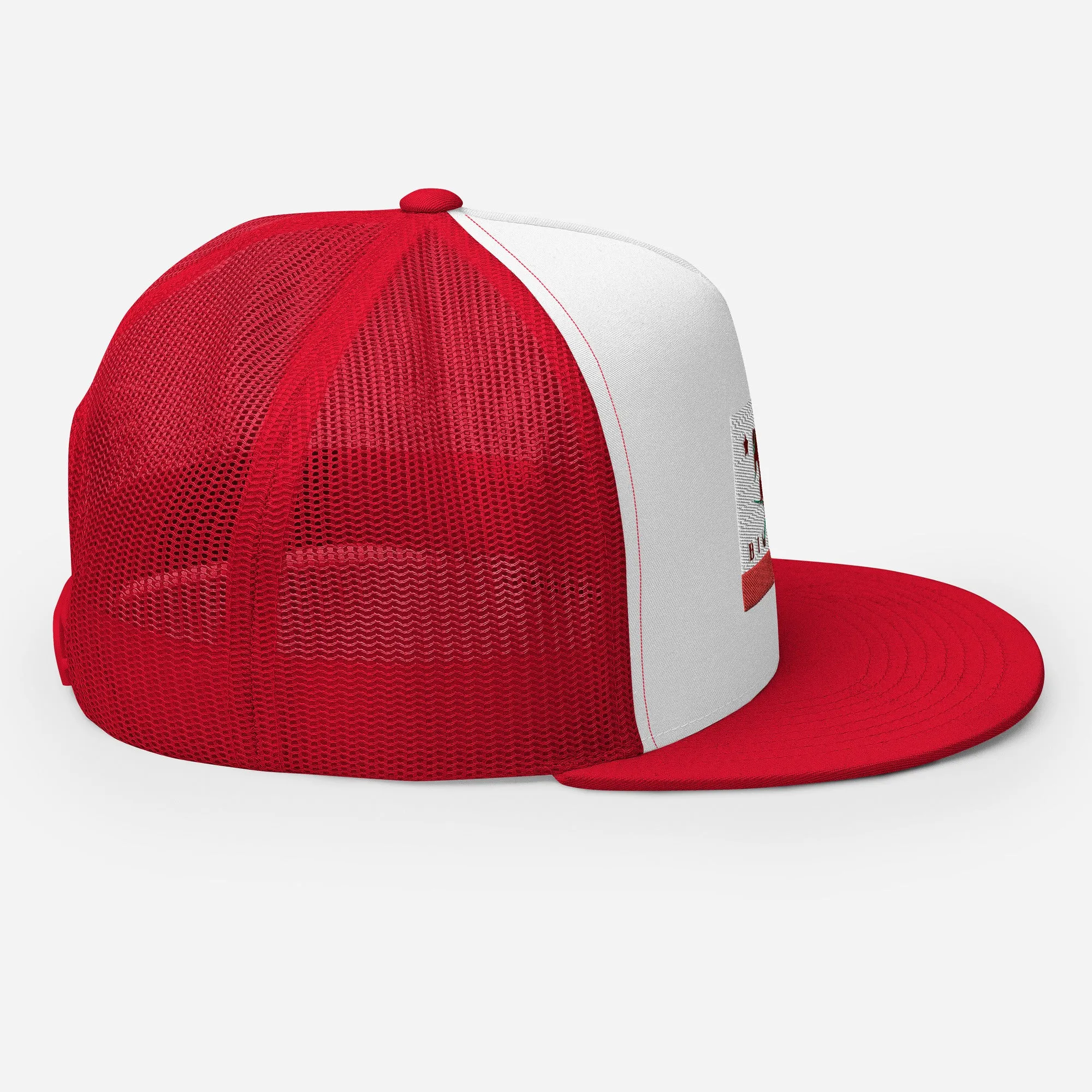 Big Bear Skiing CA Flag Trucker Cap
