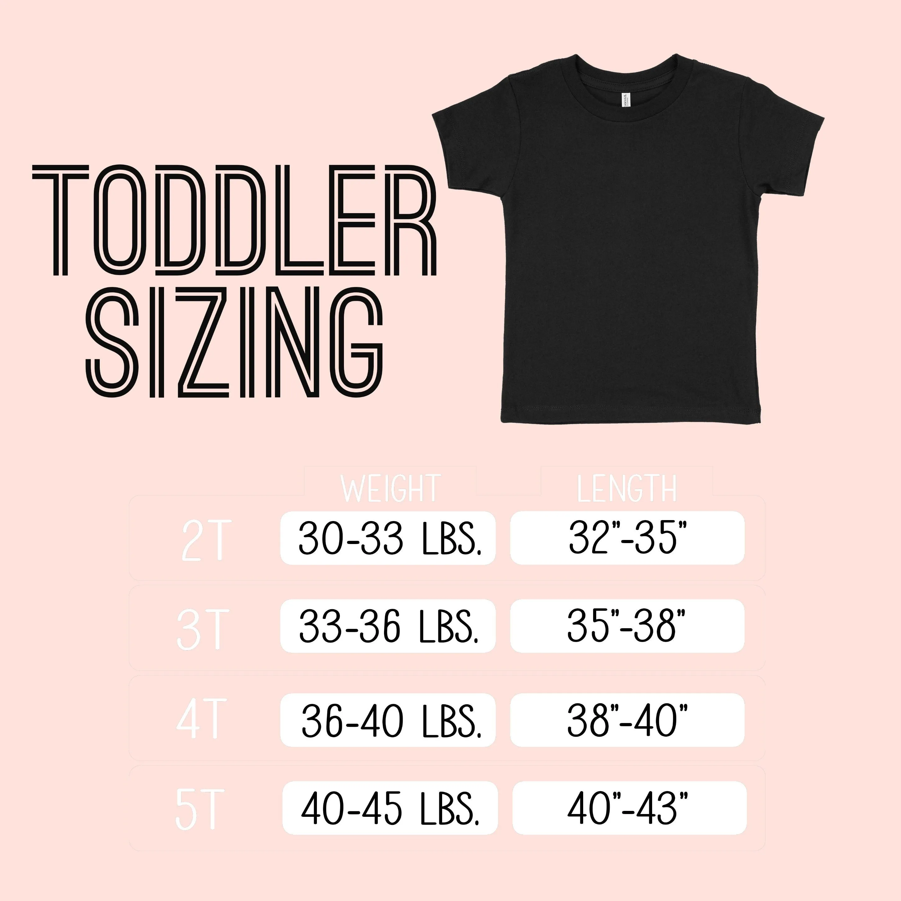 Big Brother Again Shirt, Big Brother Shirt, Promoted to Big Brother Again, Big Bro Shirt, Big Brother Announcement, Pregnancy Announcement
