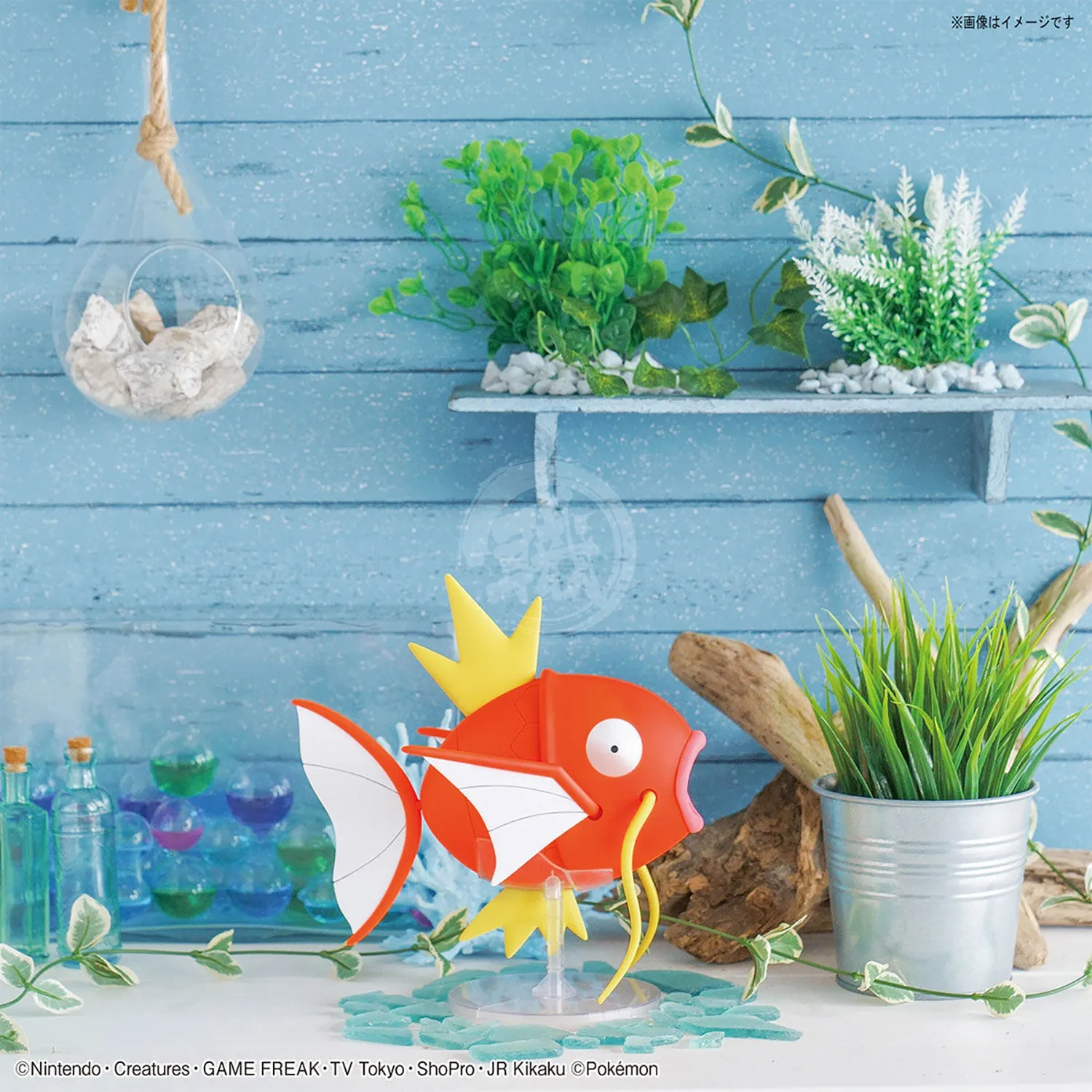 BIG Magikarp