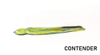 Bonze "Anaconda" Lures