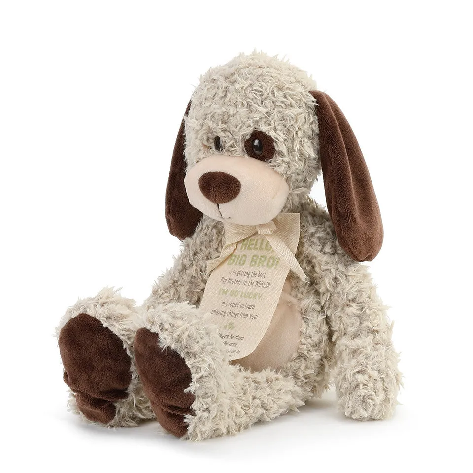 Demdaco Gift from the New Kid: Big Brother Plush Puppy
