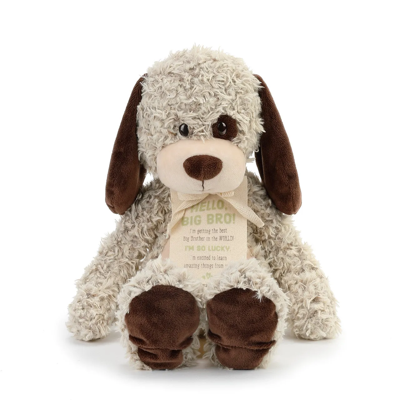 Demdaco Gift from the New Kid: Big Brother Plush Puppy