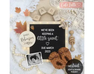 Digital Fall Pregnancy Announcement For Social Media, Boho Autumn Thanksgiving Letter Board Baby Reveal Editable Template DIY