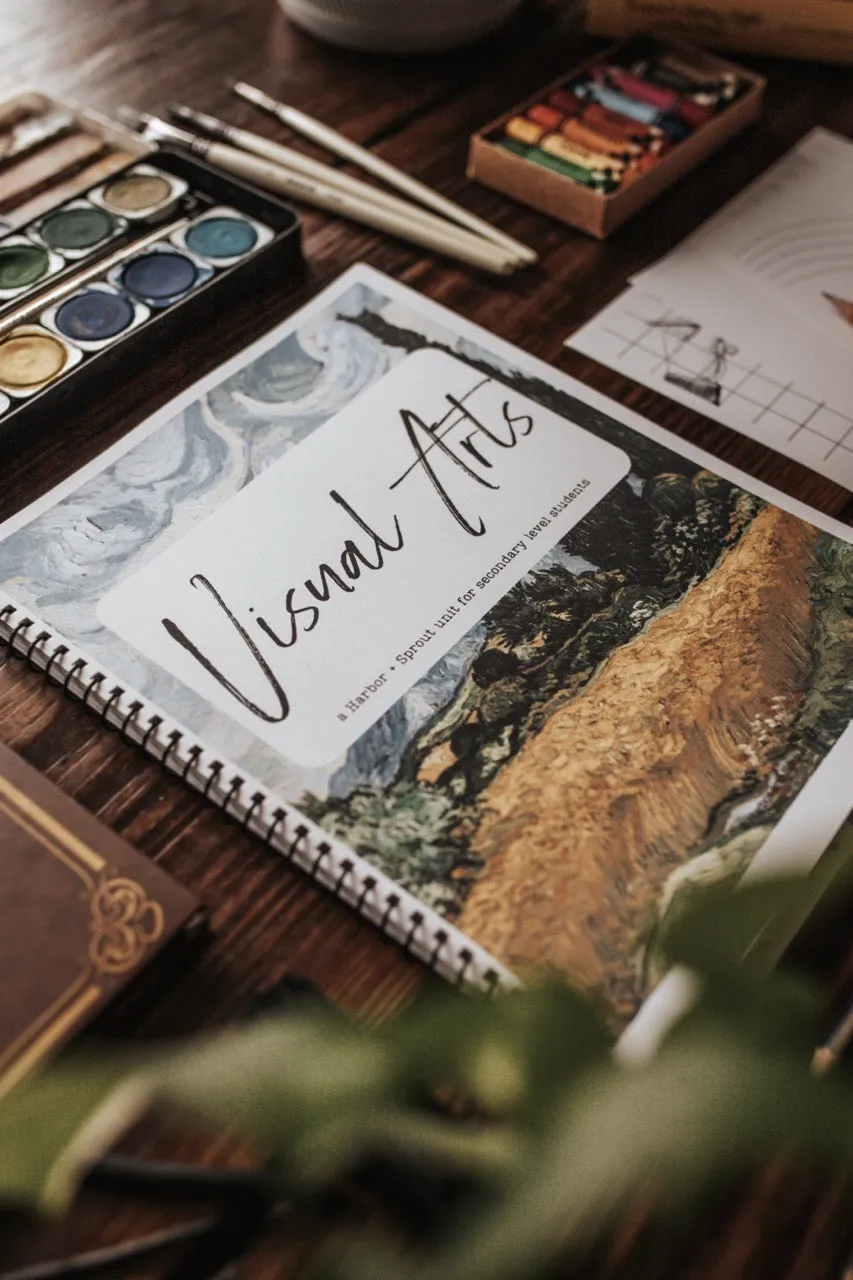 DIGITAL Visual Arts Secondary Level Unit Study