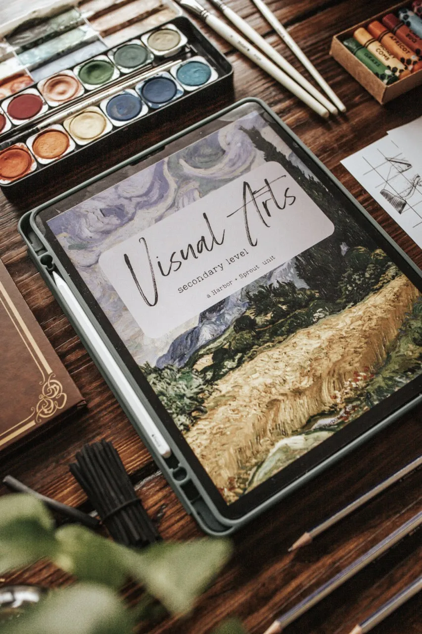DIGITAL Visual Arts Secondary Level Unit Study