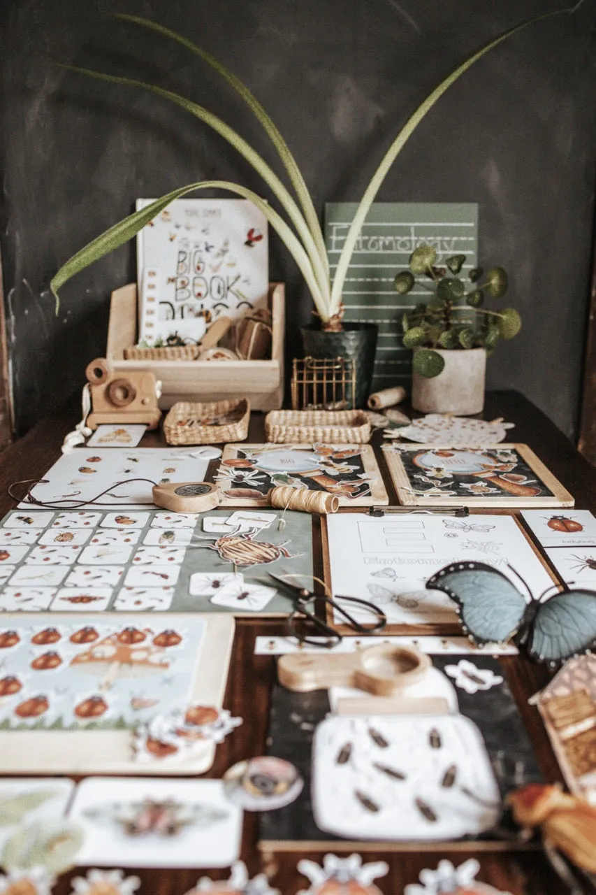 Entomology Morning Basket