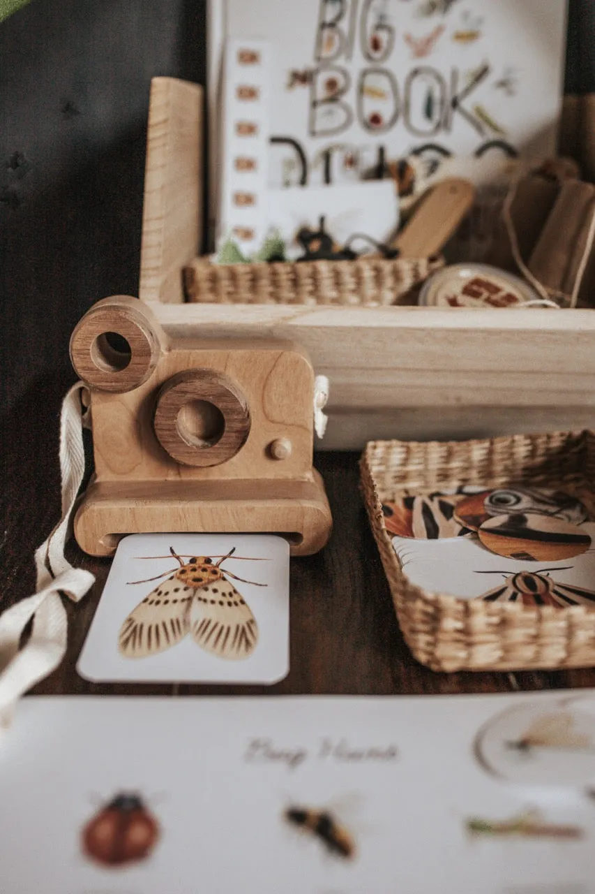 Entomology Morning Basket