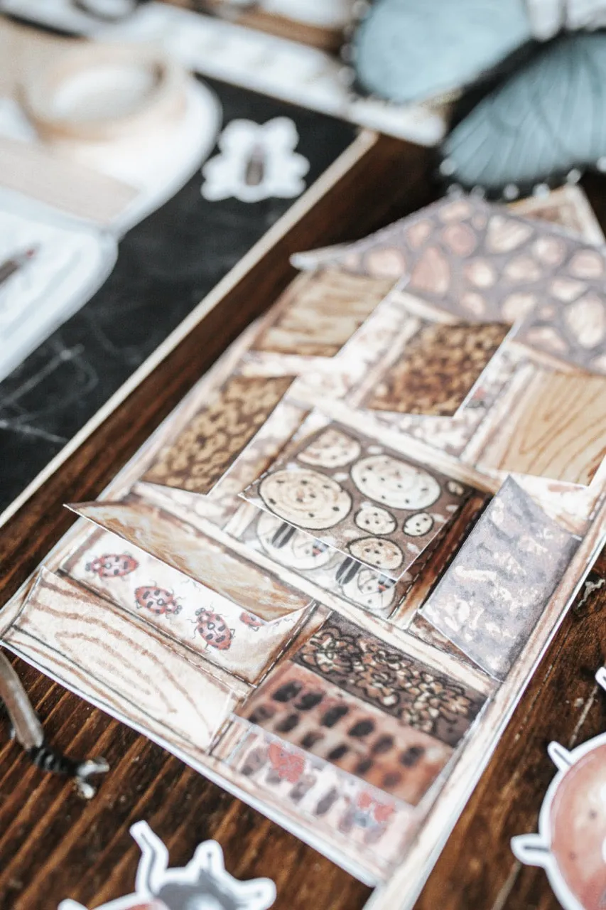 Entomology Morning Basket