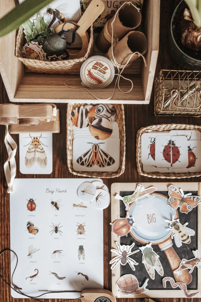 Entomology Morning Basket