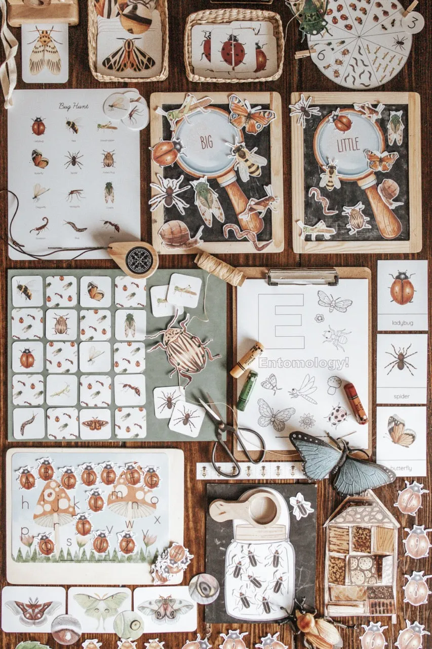 Entomology Morning Basket