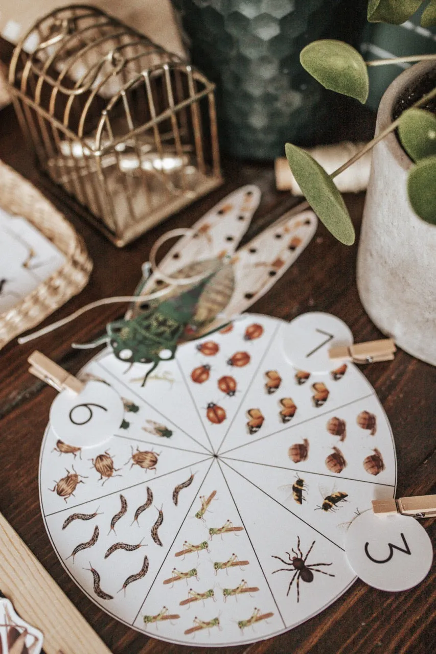 Entomology Morning Basket