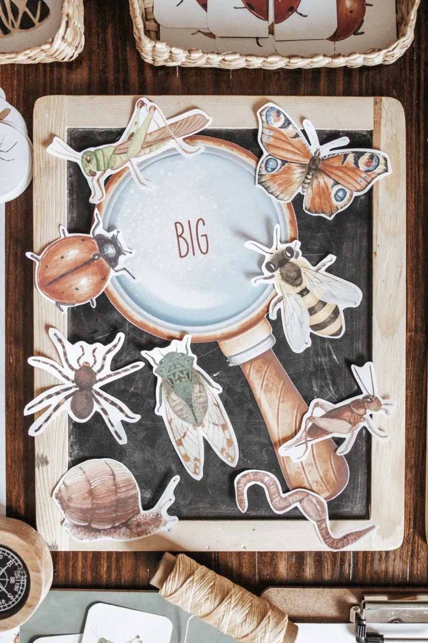 Entomology Morning Basket
