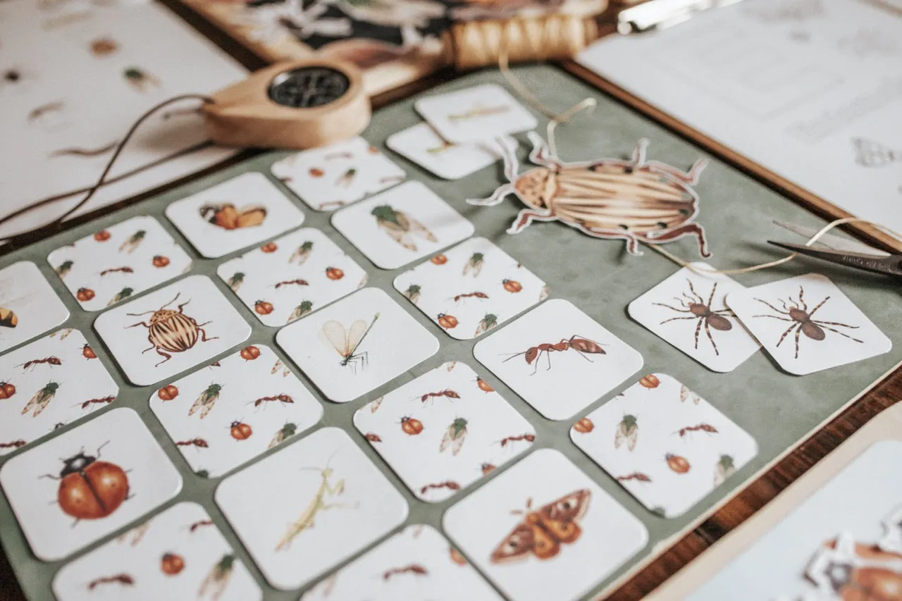 Entomology Morning Basket