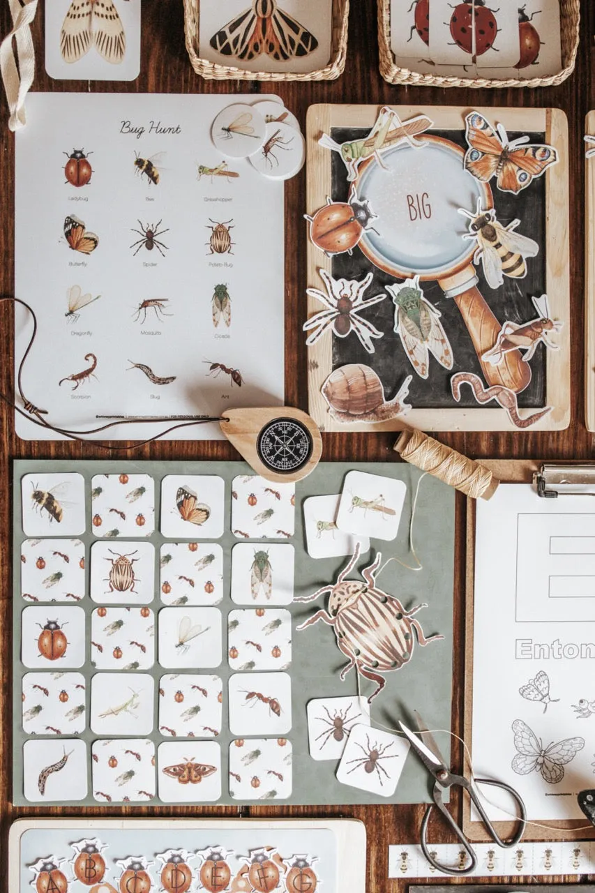 Entomology Morning Basket
