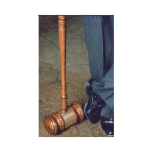 Extra Large Novelty Gavel - Item #1203