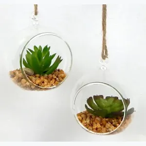 Hanging Round Shape Glass Terrarium set of 6