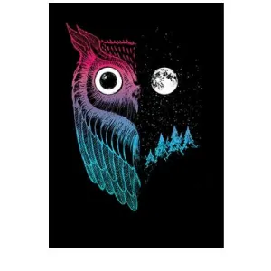Night Owl