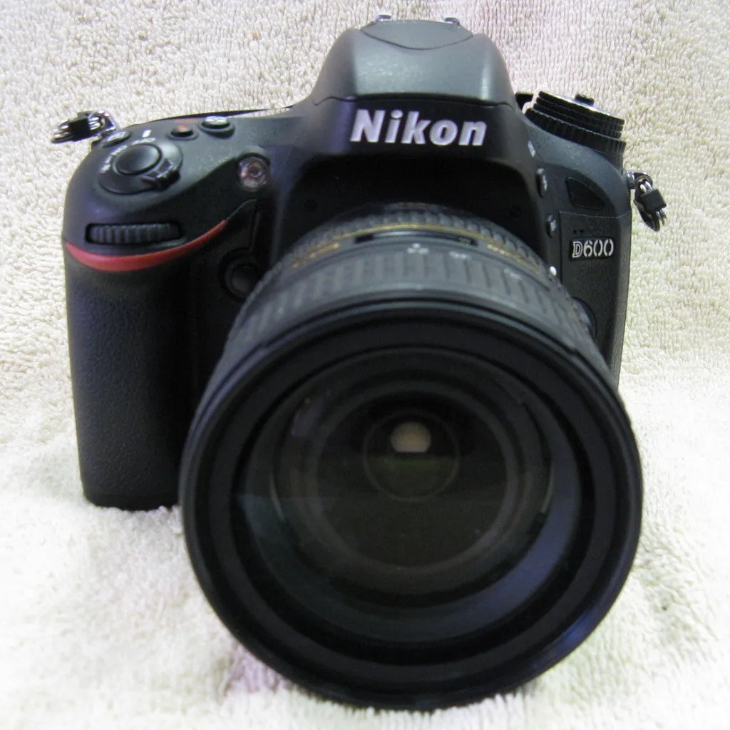 Nikon D600 with 24-85mm Lens