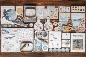 Oceanography Patchwork Study