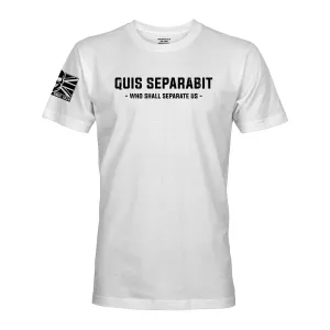 QUIS SEPARABIT (IRISH GUARDS)