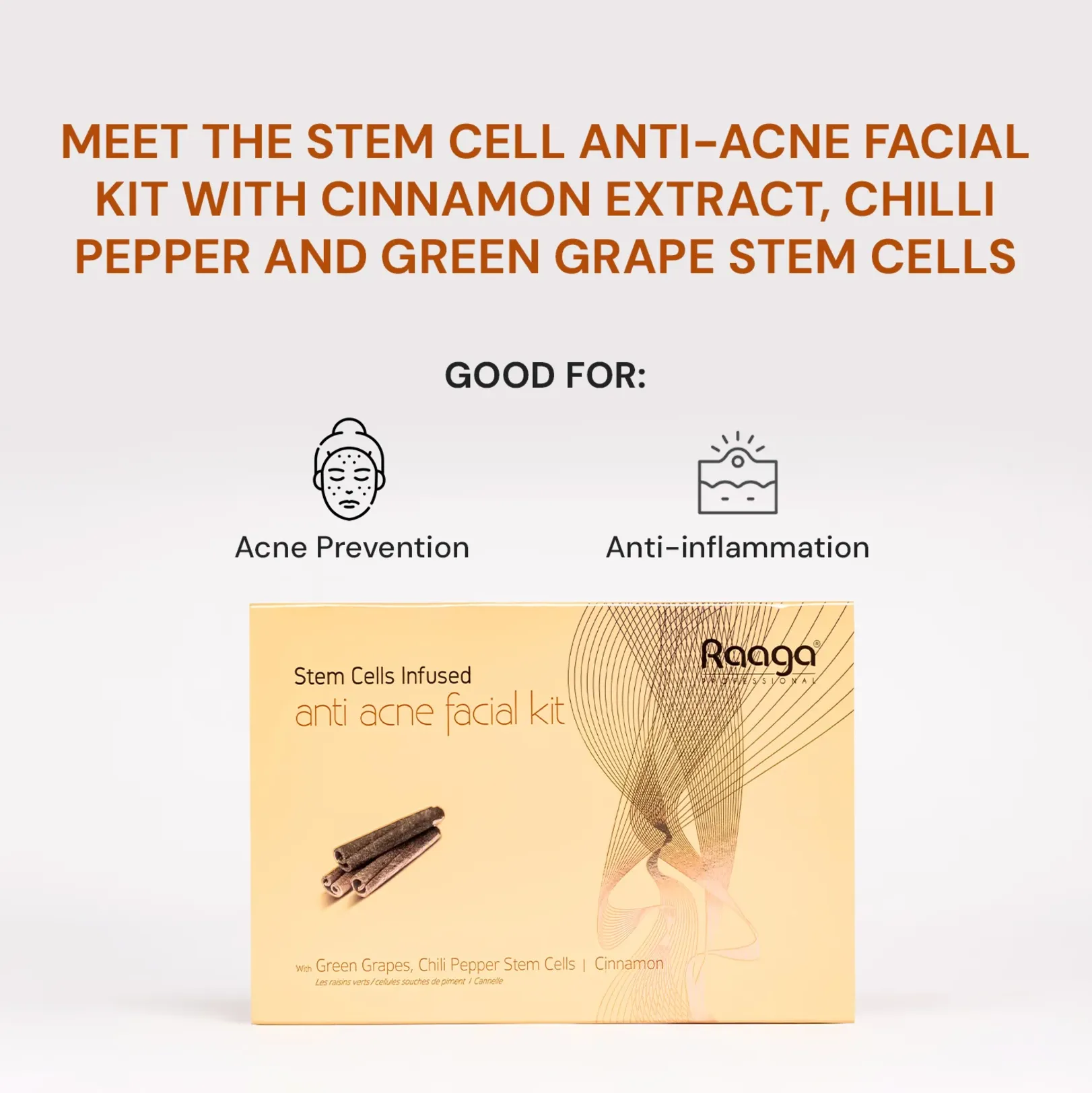 Raaga Professional Stem Cells Infused Anti Acne 6 Step Facial Kit | Cinnamon, Green Grapes, Chilli Pepper Stem Cells | Fights Inflammation | All Skin Types (61 gm)