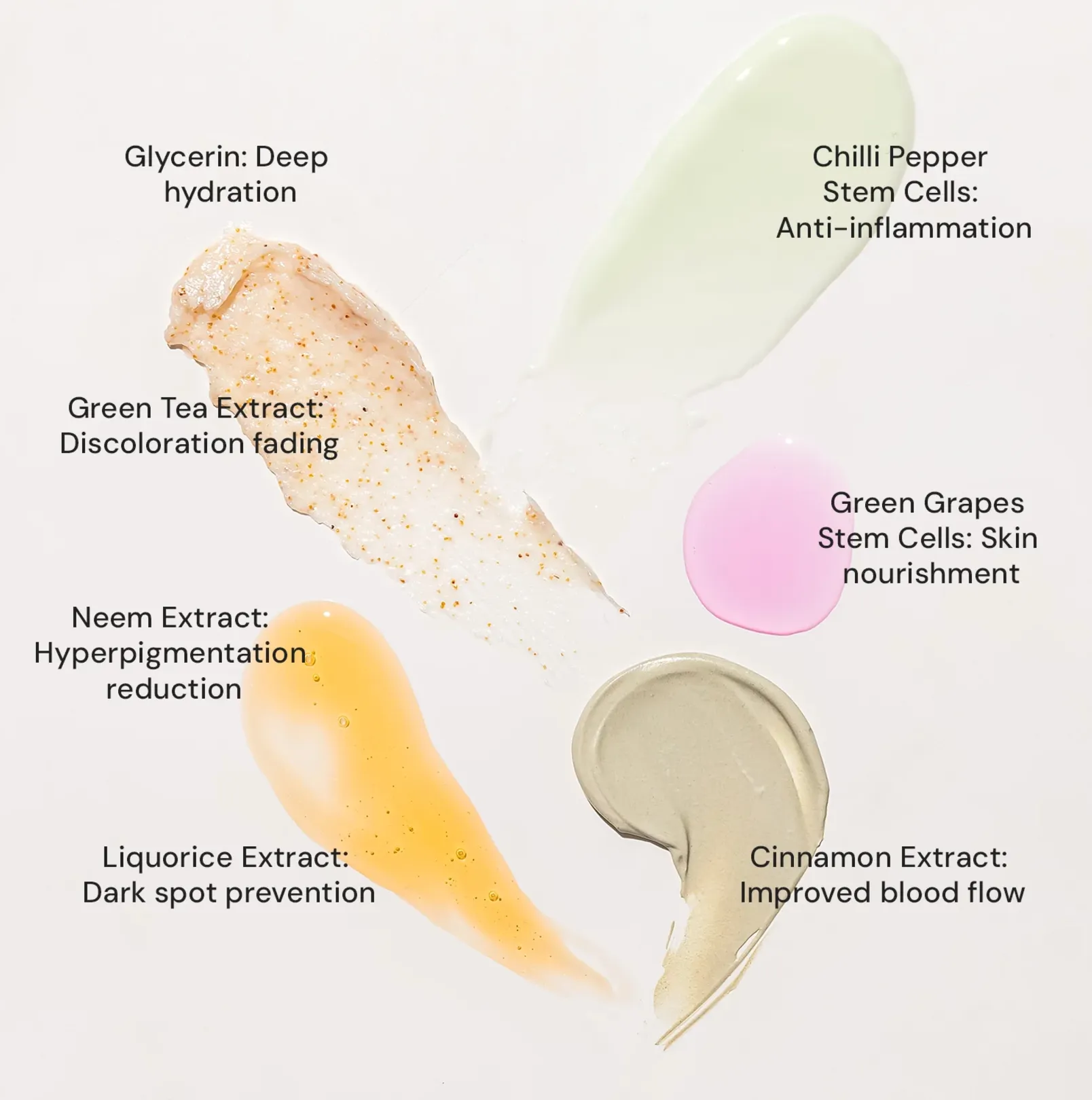 Raaga Professional Stem Cells Infused Anti Acne 6 Step Facial Kit | Cinnamon, Green Grapes, Chilli Pepper Stem Cells | Fights Inflammation | All Skin Types (61 gm)