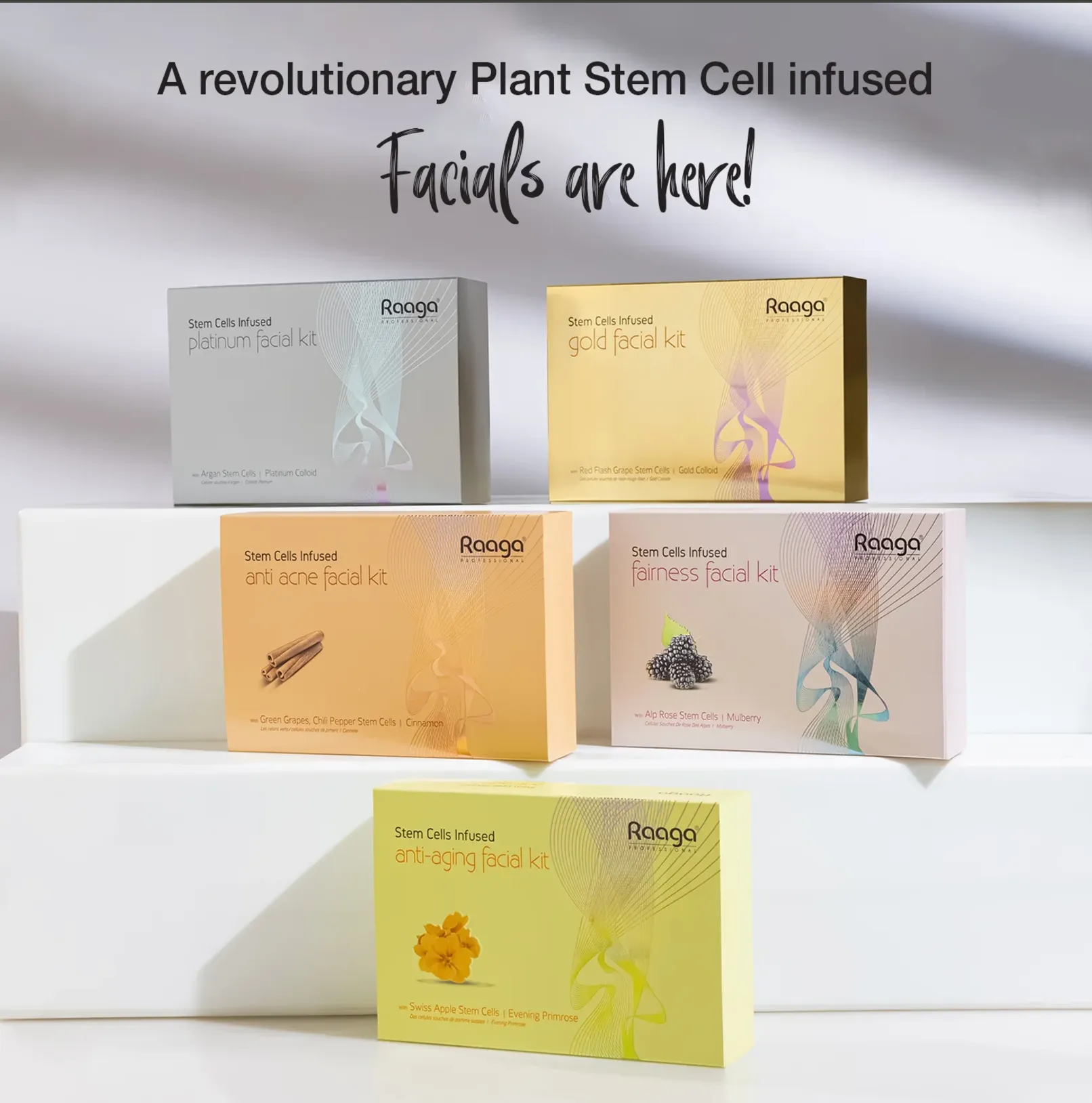 Raaga Professional Stem Cells Infused Anti Acne 6 Step Facial Kit | Cinnamon, Green Grapes, Chilli Pepper Stem Cells | Fights Inflammation | All Skin Types (61 gm)