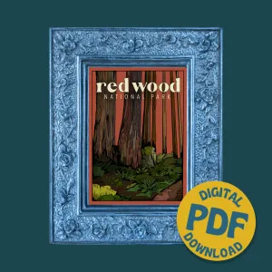 Redwood National Park Digital Print