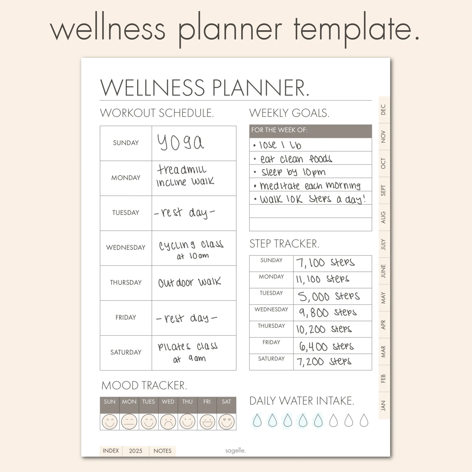 sagelle planner 2025.