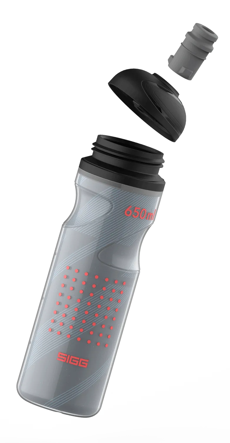 SIGG Pulsar Therm Night 0,65 L