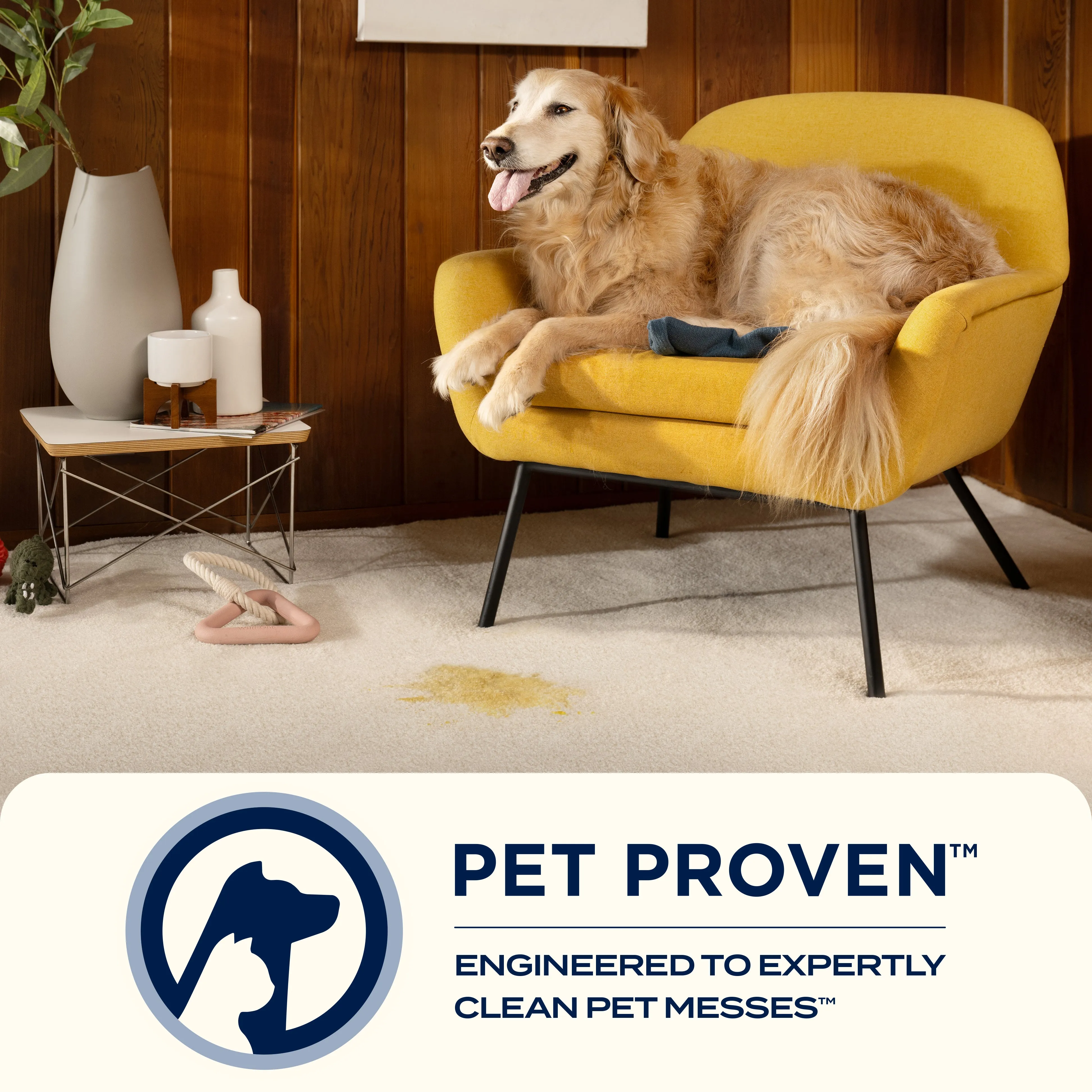SpotClean™ Professional