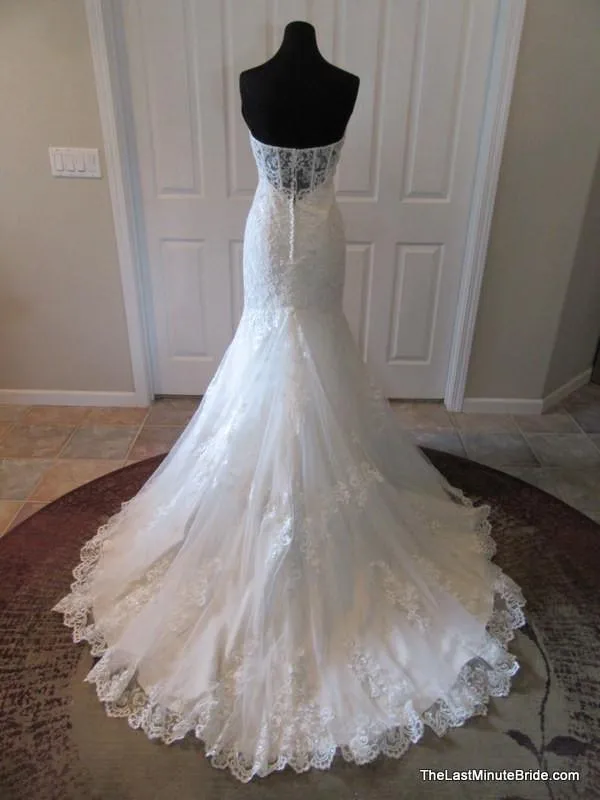 Stella York 6034