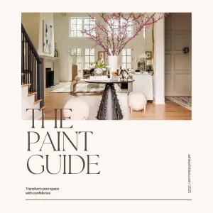 The 2025 Digital Paint Guide
