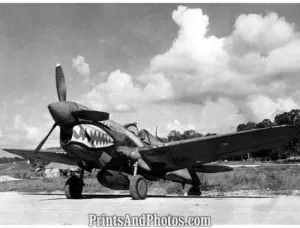 US Marines Shark Teeth Fighter Plane 4139