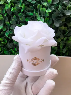 White Classic Micro Mini - White Box
