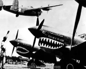 WWII  Tiger Ready For Flight 2011